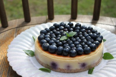 庭の恵み/ブルーベリーチーズケーキ